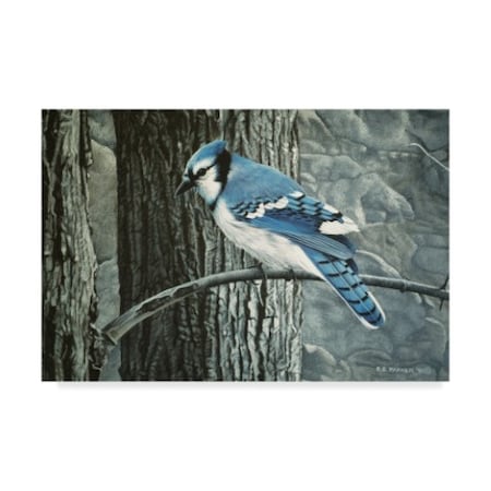 Ron Parker 'Backyard Jay' Canvas Art,30x47